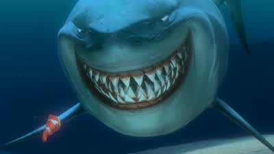 Hello. - Ohh. - Well, hi! - Finding Nemo