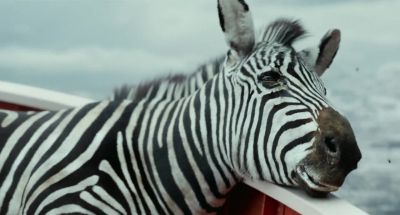 Hello! - Life of Pi