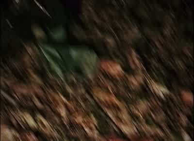 Hello? Oh, shit. It's fucking freezing. There. What? I hear it. I don't hear shit. You hear that? - The Blair Witch Project