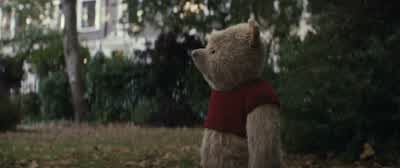 Hello. It's Pooh. Are you hiding? - Christopher Robin