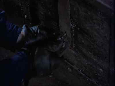 - Hello. - City Slickers II: The Legend of Curly's Gold