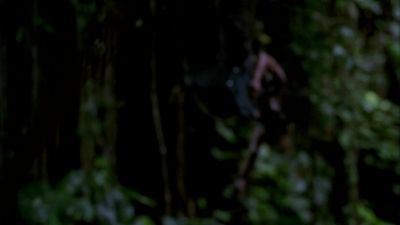 Hello? - Lost