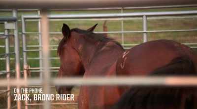 Hello? - How to Be a Cowboy