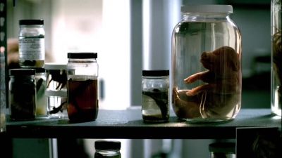              Hello? - CSI: Crime Scene Investigation