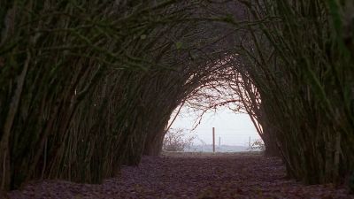 Hello? - The X-Files