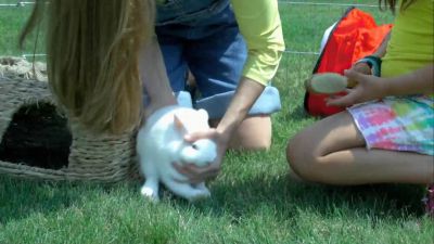 Hello, Snowball. - Daniel Tiger's Neighborhood