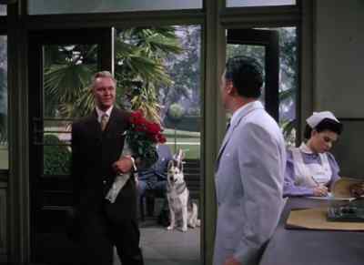 Hello, Sullivan. - Million Dollar Mermaid
