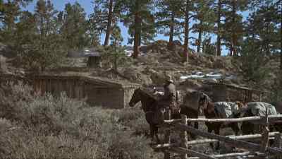 Hello, the shack! - Will Penny