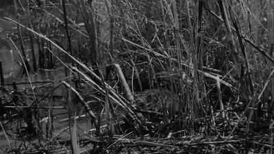 Hello there, dear! - Louisiana Story