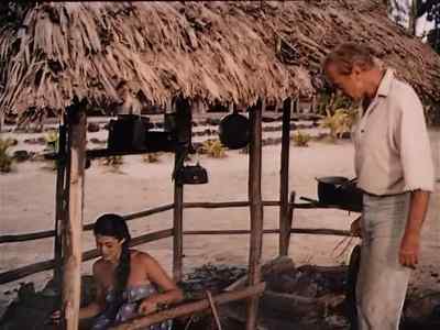 Hello. When did you get here? - Return to Paradise