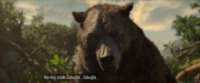 - Hello? Window cleaner.
- No, thank you. - Mowgli: Legend of the Jungle