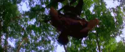 Help! Anybody here? - Dilwale Dulhania Le Jayenge