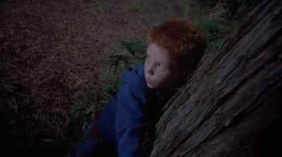 - Help, Dad! - Ticks