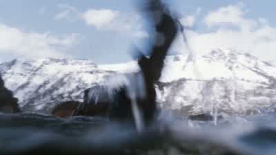 Help! - Fletcher! - Help. - The Bodyguard