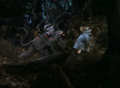 Help! Help! Go away now! Toto! Toto! Help! - The Wizard of Oz