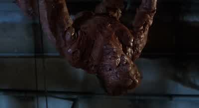 Help me. - The Fly