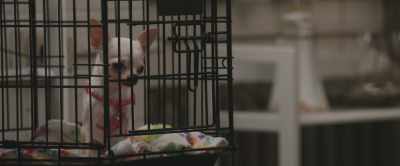 Help. Let me out. - The Con is On