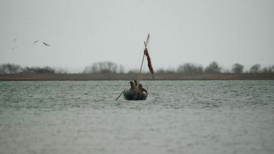 Help me! Come on! Get the net! - The Essex Serpent