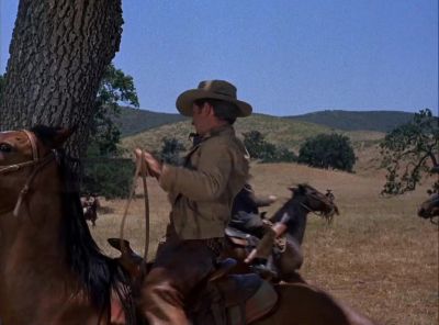 Help me!
Help me, Steve! Grab him! - The Virginian