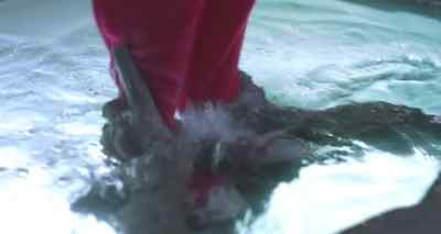 Help me! - Poltergeist III