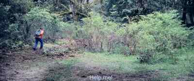 Help me! - Never Let Go
