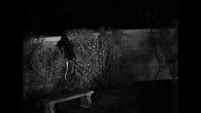 Help me! - The Invisible Man