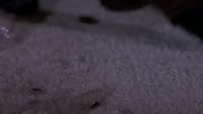 Help! My pussy's gone crazy! Aah! Aah! - Scary Movie 2