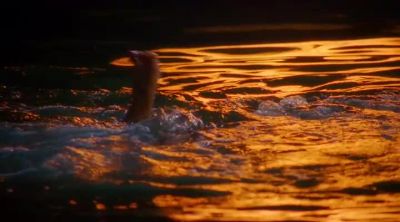 -HELP! - Baywatch