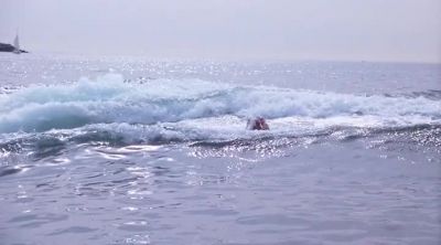 HELP! - Baywatch