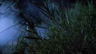 Help! - The Haunting of Morella