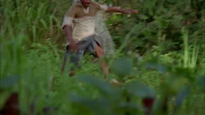 Help! I need help! - Lost