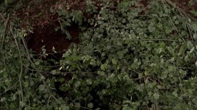Help! - Wrong Turn 2: Dead End