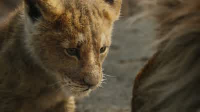 Help! Somebody help! - The Lion King