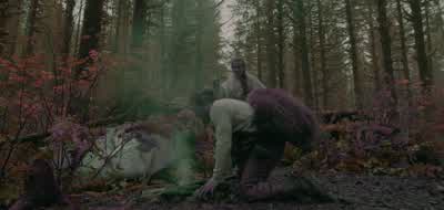 Hemlock. - See