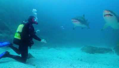 Hemsworth: Coming
face to face with them, - Shark Beach With Chris Hemsworth