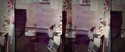 Hence, the panther paw on the wall. - Chaos: The Manson Murders