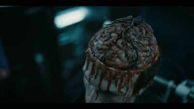 Henri: It's insect-like.
Invertebrate. - Origin