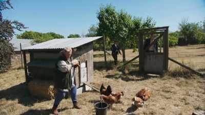 [ Hens clucking ] - Beyond Paradise