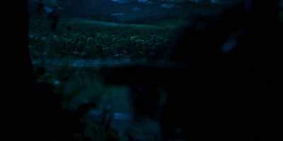 -[hens panting]
-[energetic orchestral music playing] - Chicken Run: Dawn of the Nugget
