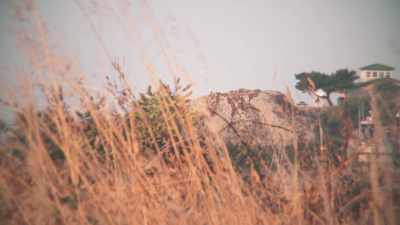 Her body was found in
Gold Beach, Oregon, - 35 Serial Killers the World Wants to Forget