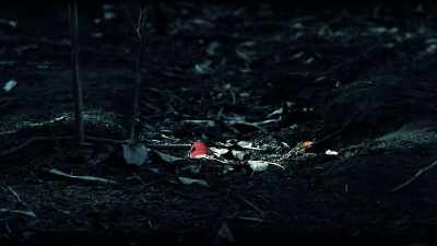 Her body wasn't found
for more than two years, - 35 Serial Killers the World Wants to Forget