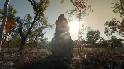 Her cub, on the other hand,
isn't yet weaned. - A Year on Planet Earth