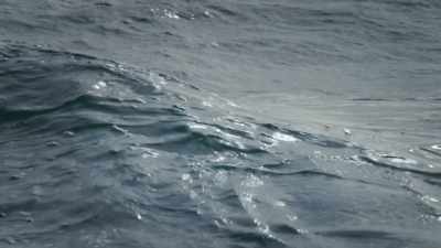 Her downy feathers soften the landing.  - Super/Natural