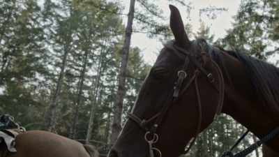 Her ears pointed
in that direction, - Expedition Bigfoot