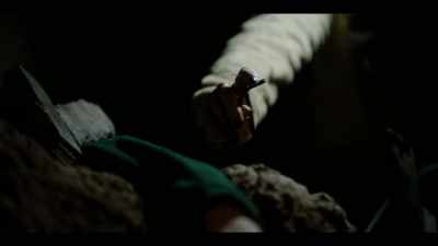 Her involvement
will not be without consequence - COBRA