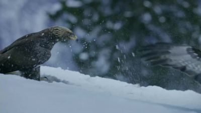 Her kick was decisive. - Hostile Planet