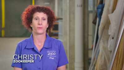 Her leg has healed up great
in the last few weeks - Secrets of the Zoo