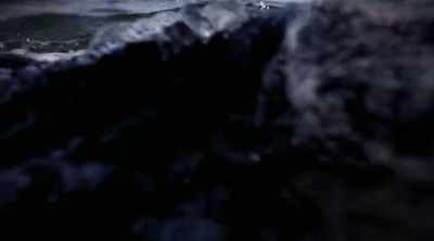 Her life and limbs may
depend on what she does next. - Shark Attack Files