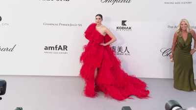 Her music and undeniable talent - Dua Lipa: Elevating