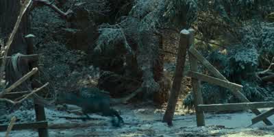 Her nest has got to be nearby. - Jurassic World: Dominion